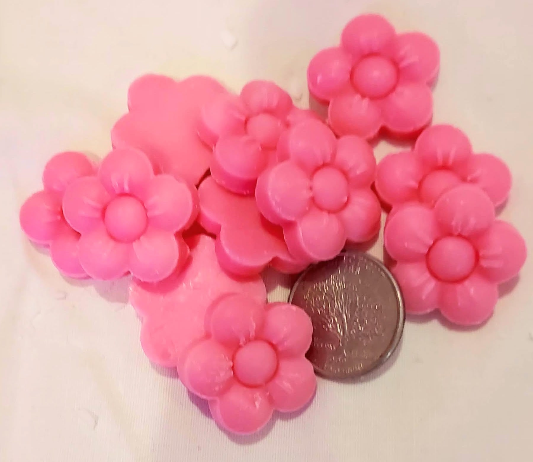 Cedarwood & Amber Soy Wax Melts – Hand-Poured in Alaska