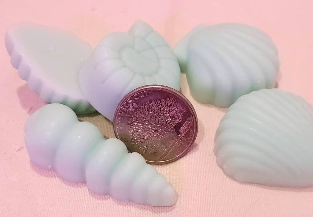 Cedarwood & Amber Soy Wax Melts – Hand-Poured in Alaska