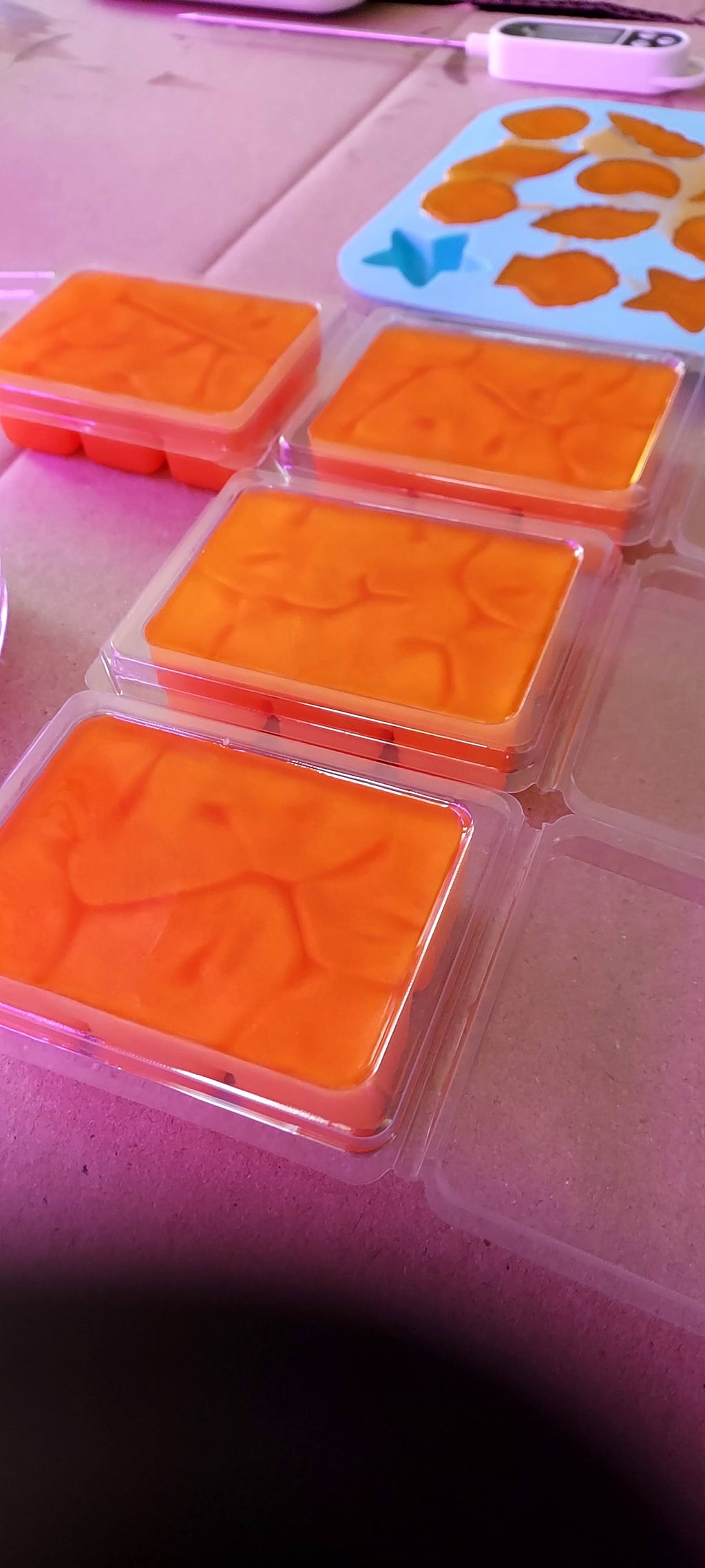 Your Choice Sampler 6 Scents of Pet Friendly Soy Wax Melts – Made in Alaska