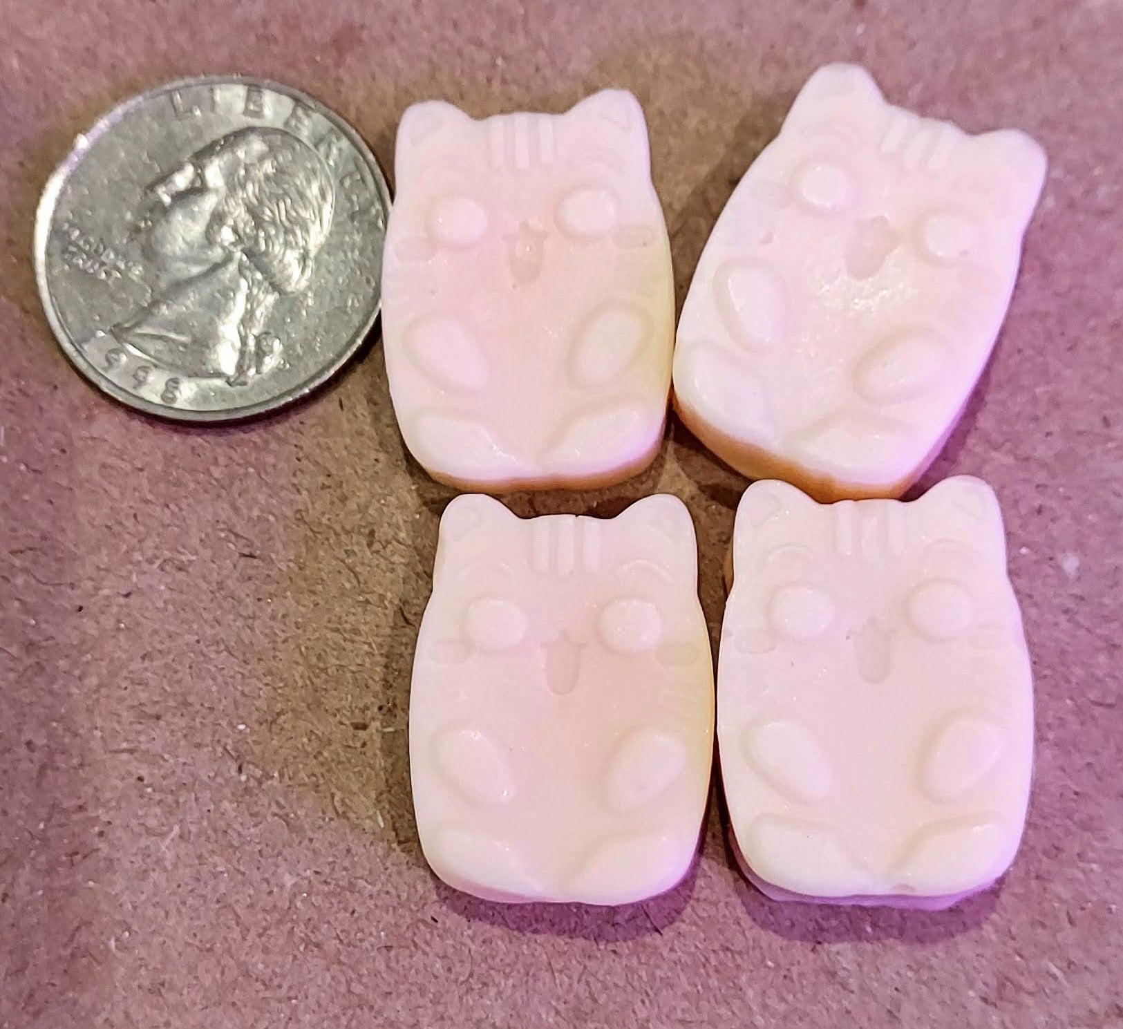Cedarwood & Amber Soy Wax Melts – Hand-Poured in Alaska