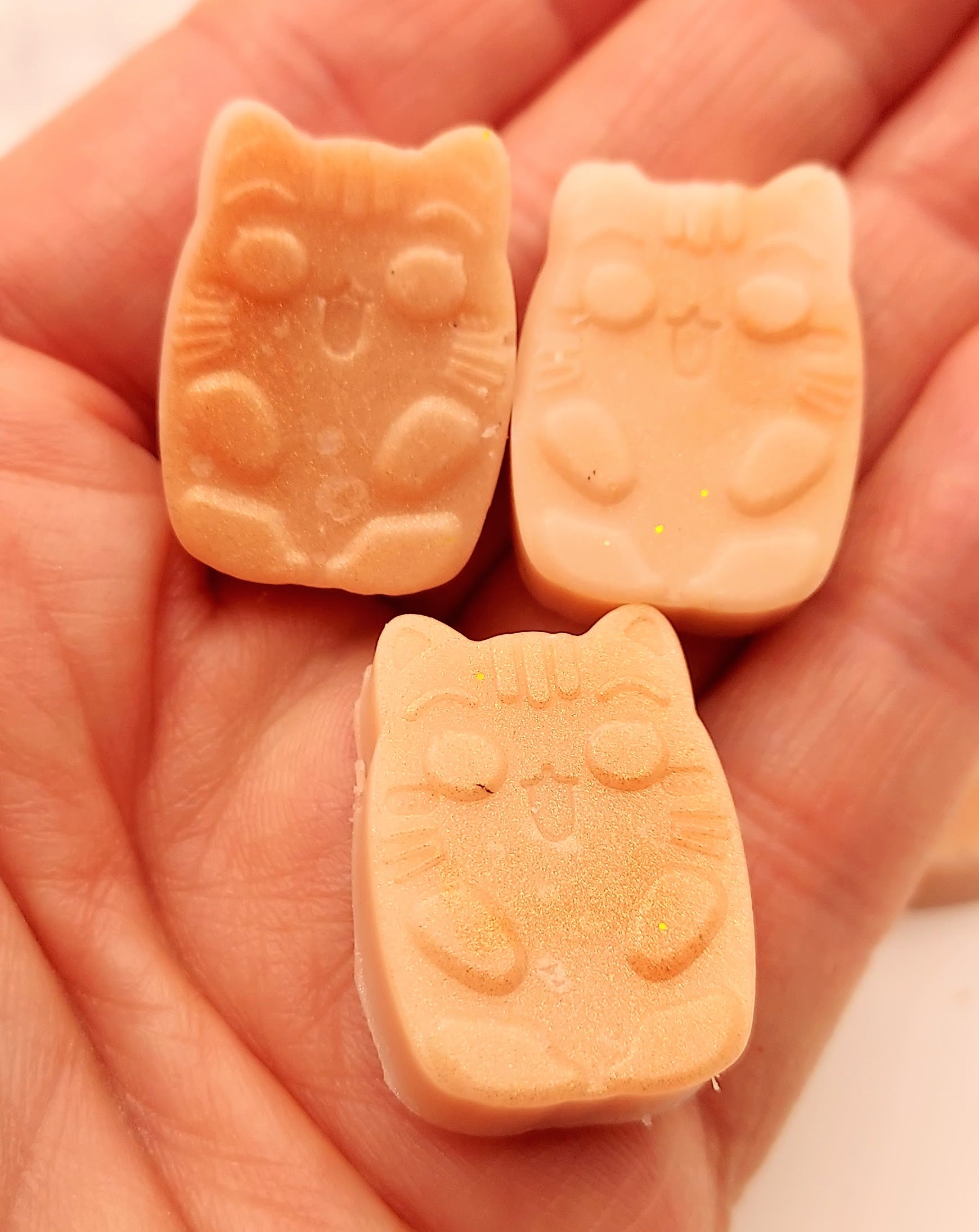 Scent Campfire Soy Wax Melts